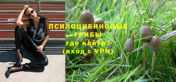 шишки Иноземцево