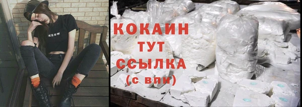 трава Зеленокумск