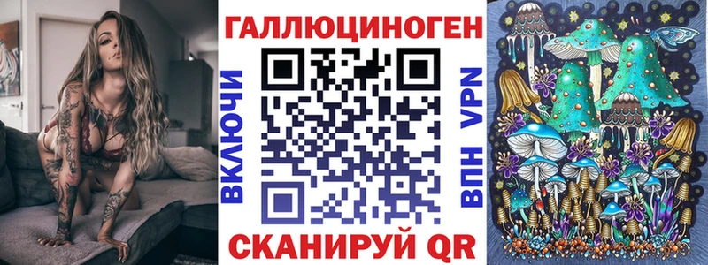 Псилоцибиновые грибы Cubensis  Бирюсинск 